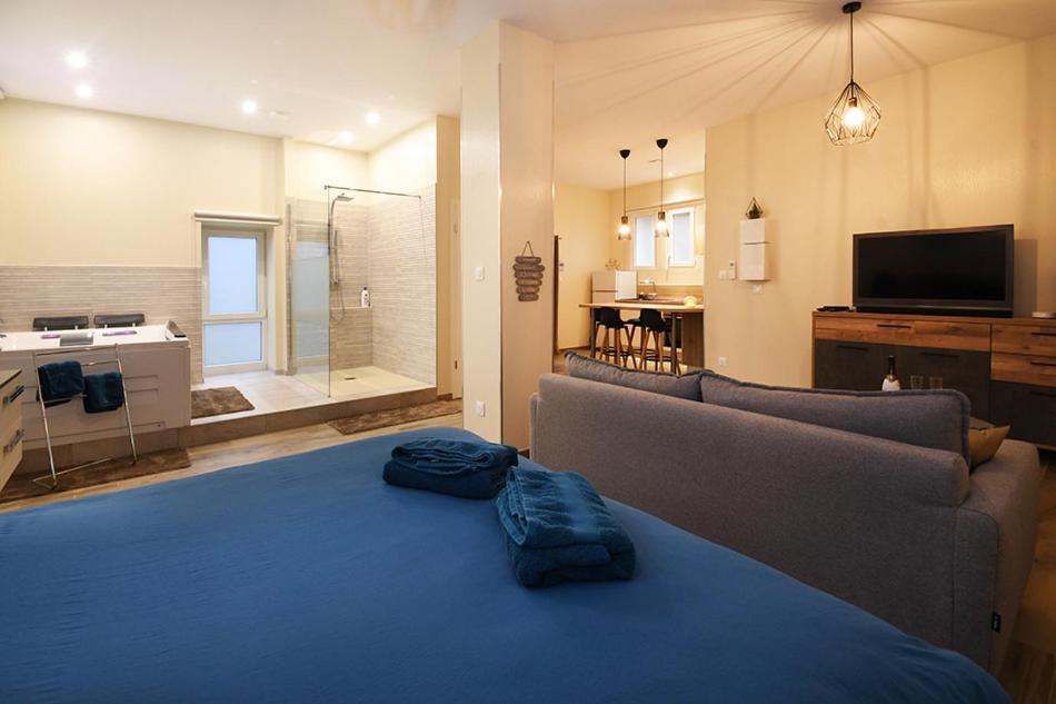 Appartement Loft Detente Στρασβούργο Εξωτερικό φωτογραφία